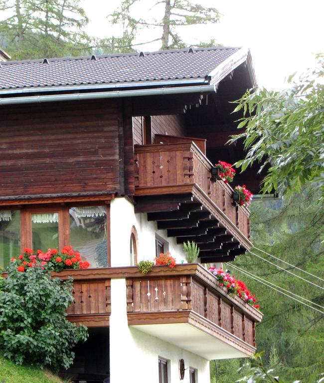 Appartement Seppenbauer Apartment